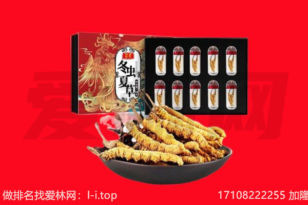 榆林市吴堡回收虫草.jpg